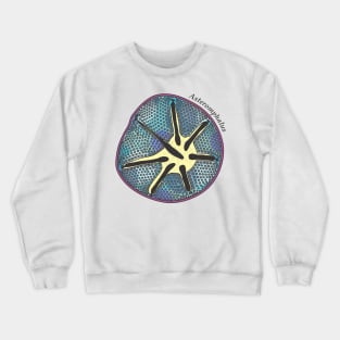 Diatom - Asteromphalus (scientific, color) Crewneck Sweatshirt